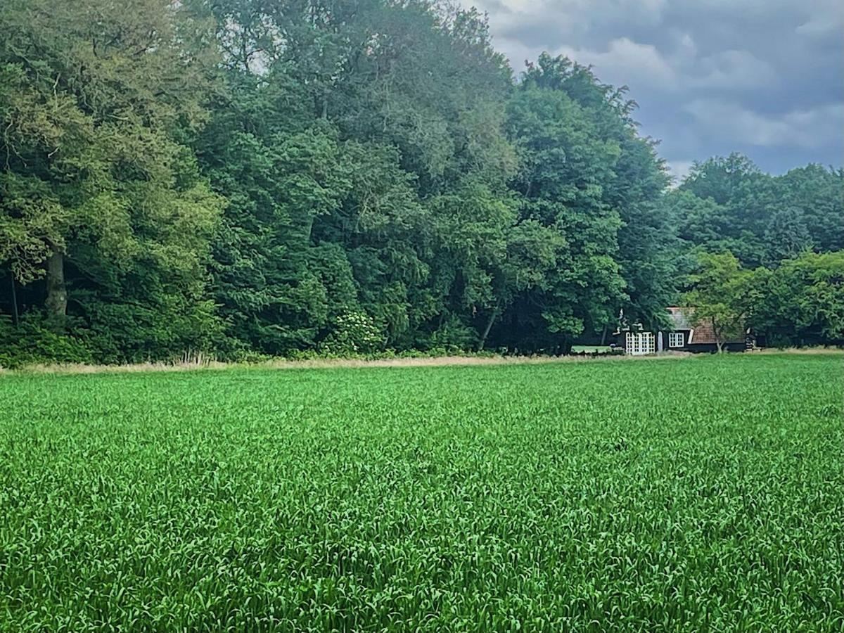 Natuurhuisje - Gastenverblijf De Kleine Hazerij Wijhe Bagian luar foto